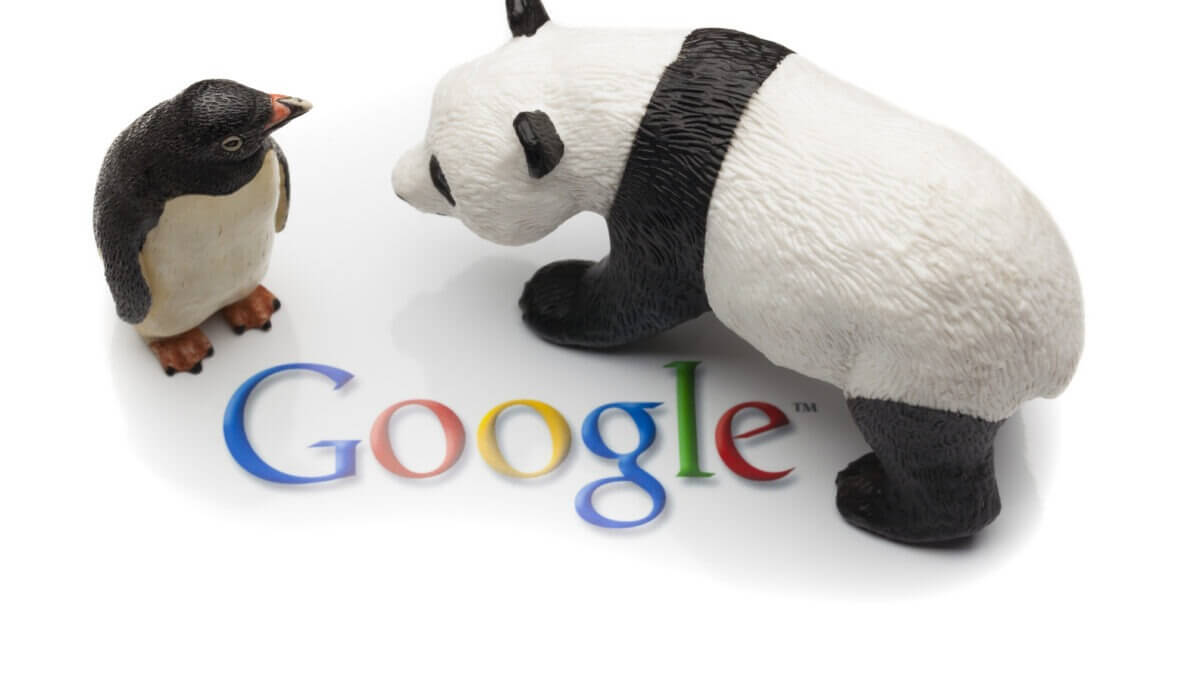 google panda and penguin algorithm cover image