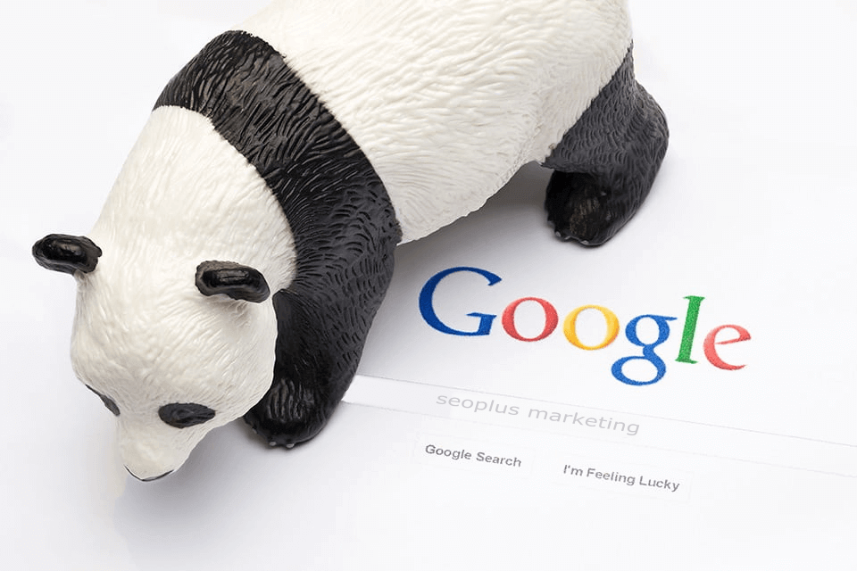 panda algorithm seoplus cover